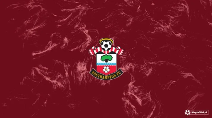 southampton gol bednarka