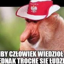 Memy po meczu Polska – Francja. Żegnamy się z mundialem…