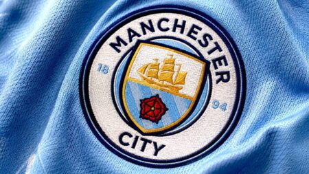 Herb Manchesteru City
